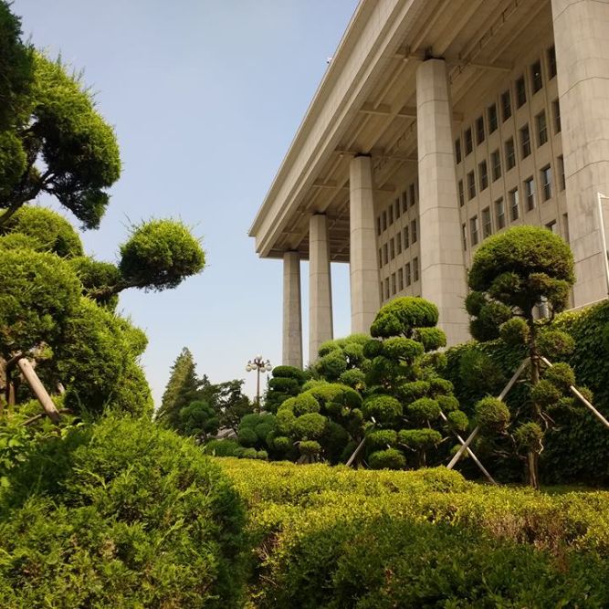 A garden on the side of the Korean National Assembly Building.